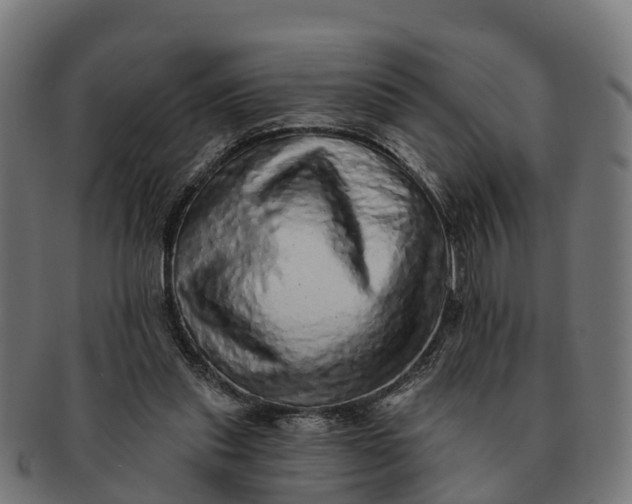 X0000091330253200708241207