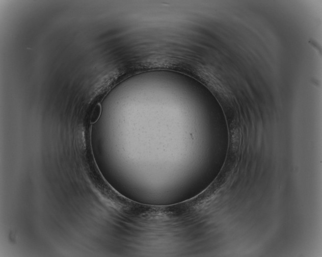 X0000091330254200708241207