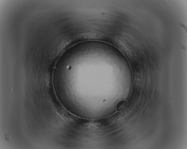 X0000091330255200708241207