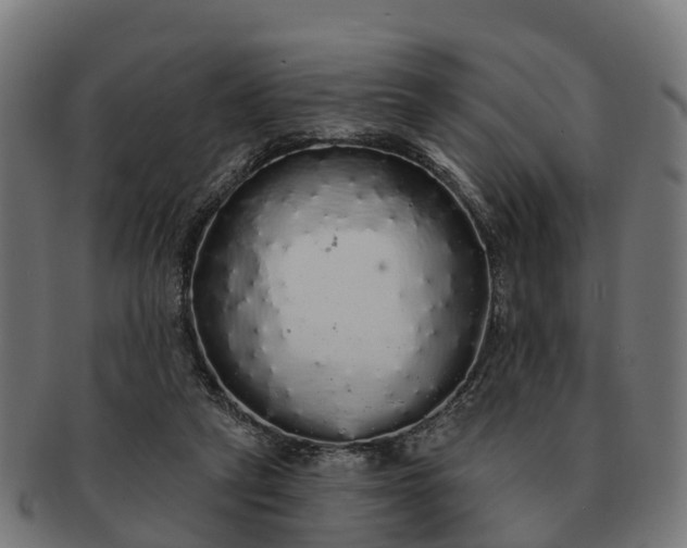 X0000091330257200708241207