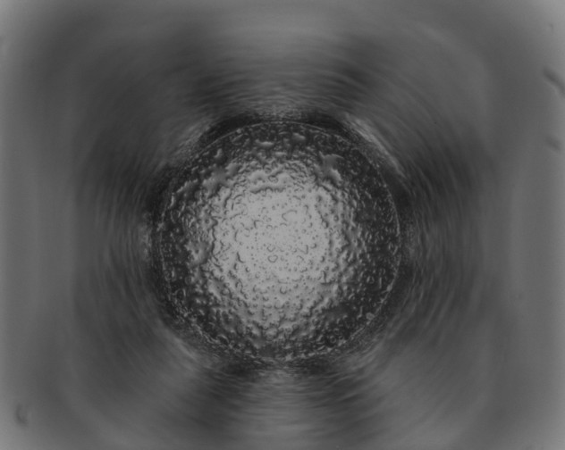 X0000091330259200708241207