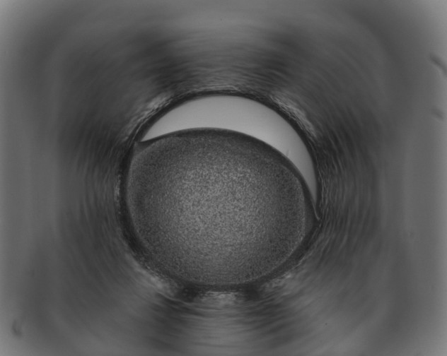 X0000091330260200708241207