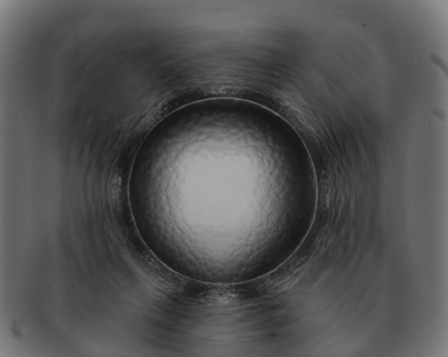 X0000091330263200708241207