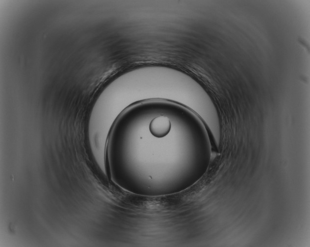 X0000091330264200708241207