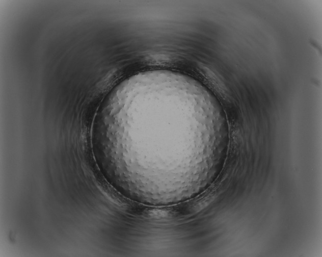 X0000091330265200708241207