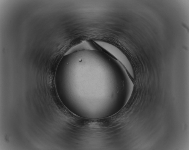 X0000091330268200708241207