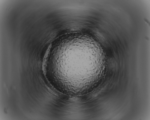 X0000091330269200708241207