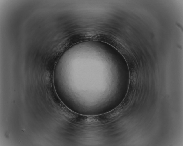 X0000091330270200708241207