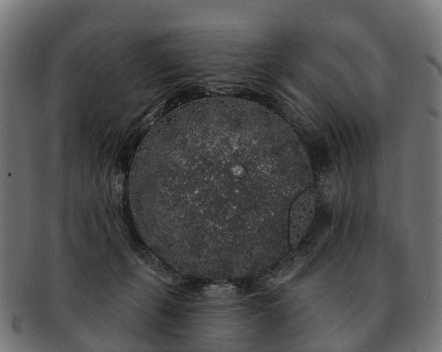 X0000091330271200708241207