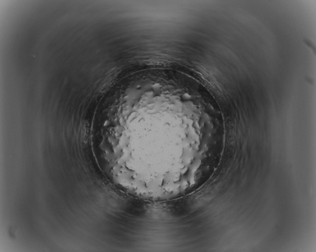 X0000091330273200708241207