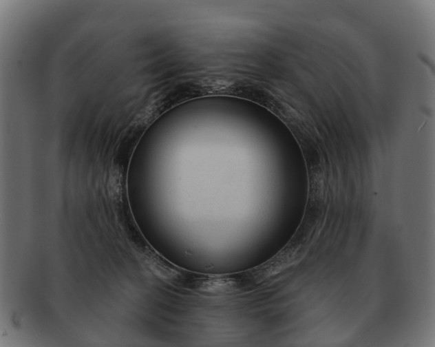 X0000091330274200708241208