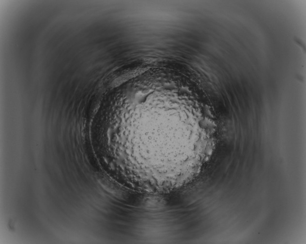 X0000091330275200708241208