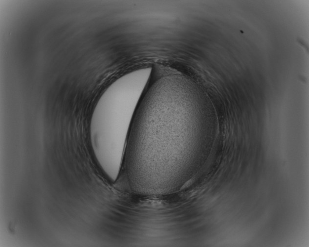 X0000091330276200708241208