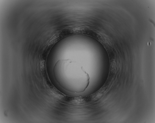 X0000091330278200708241208