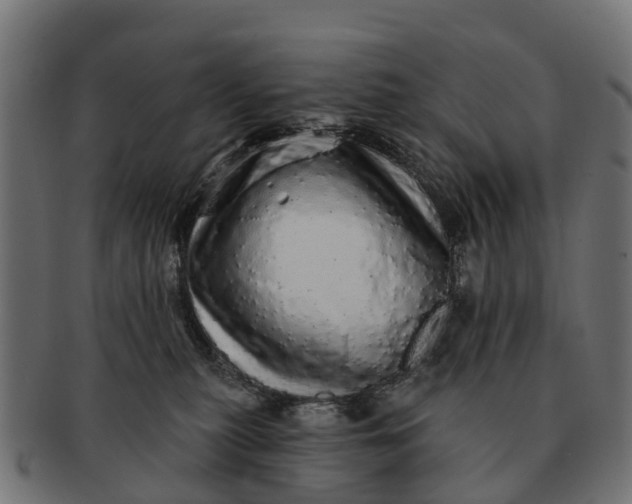 X0000091330279200708241208