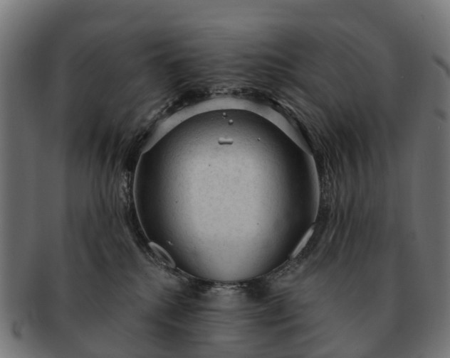 X0000091330280200708241208