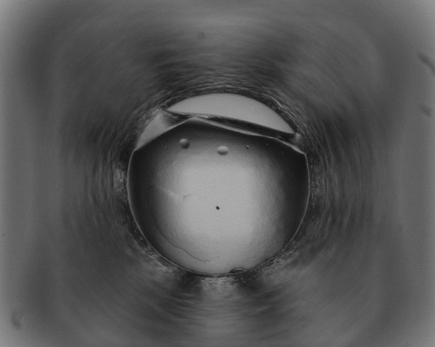 X0000091330281200708241208