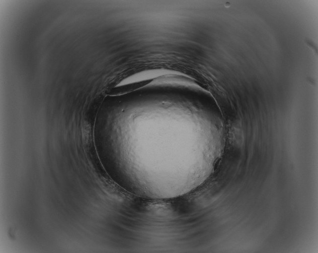 X0000091330283200708241208