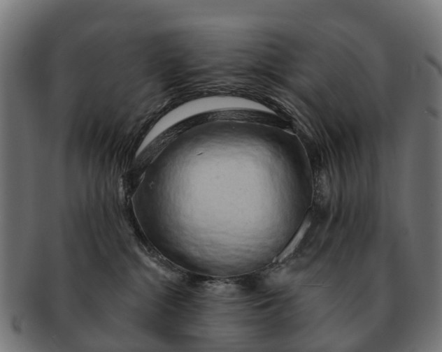 X0000091330284200708241208