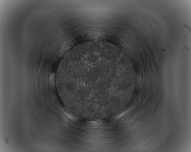 X0000091330286200708241208