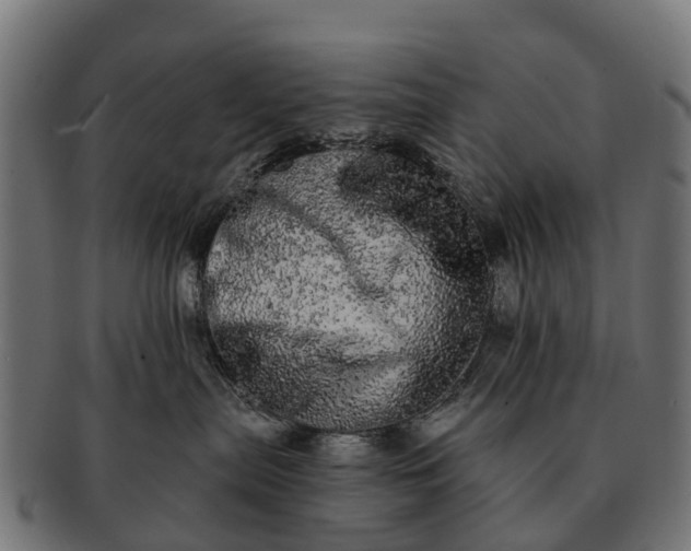 X0000091330287200708241208