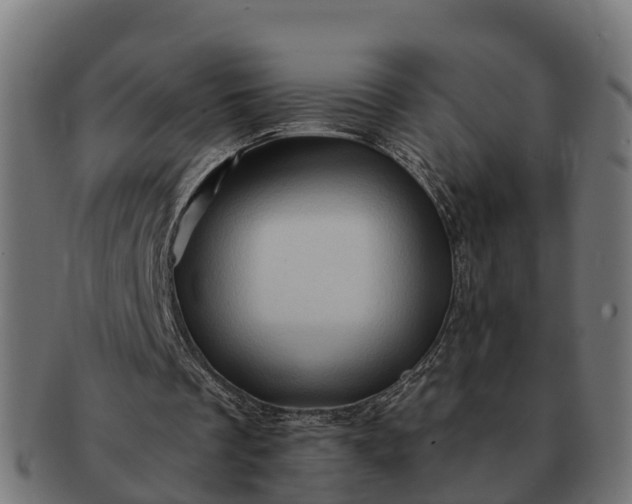 X0000091330289200708241207