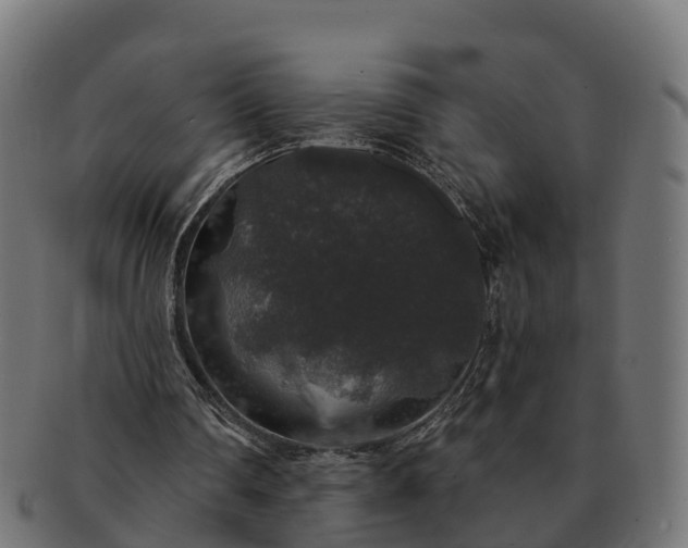 X0000091330290200708241207