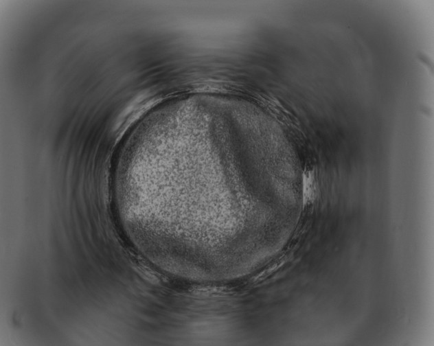 X0000091330291200708241207