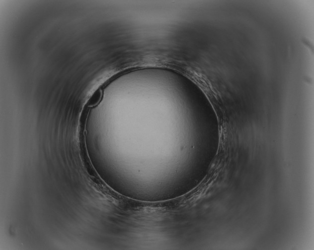 X0000091330292200708241207