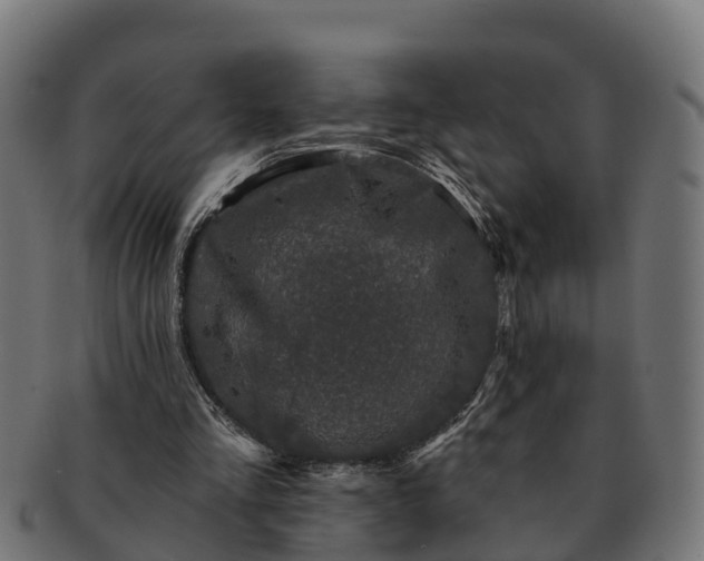 X0000091330293200708241207