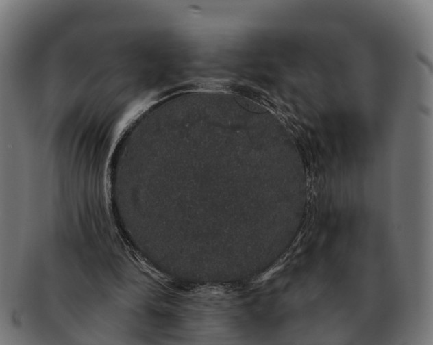 X0000091330294200708241207