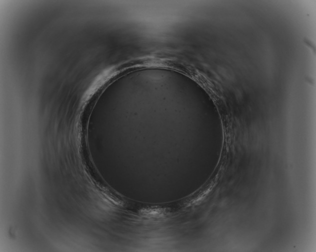 X0000091330295200708241207