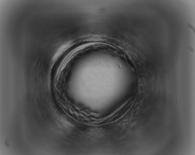 X0000091330296200708241207