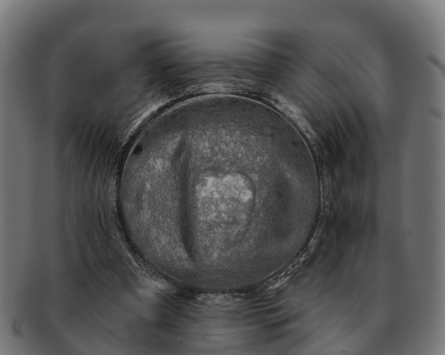 X0000091330297200708241207