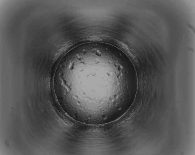 X0000091330299200708241207