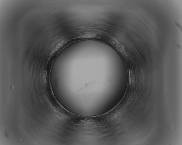 X0000091330300200708241207