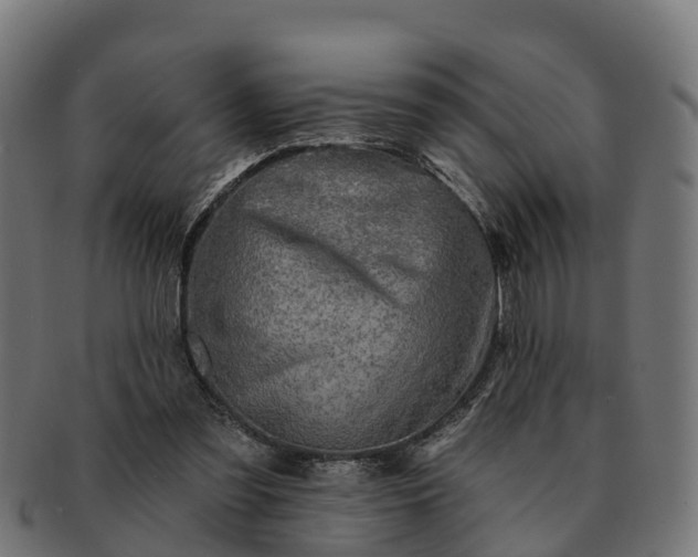 X0000091330301200708241207