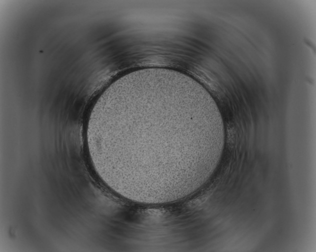 X0000091330302200708241207