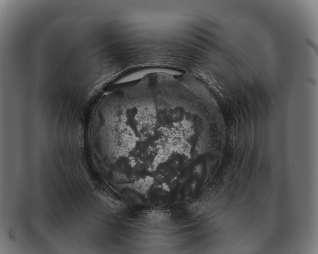 X0000091330303200708241207