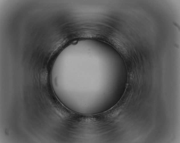 X0000091330304200708241207