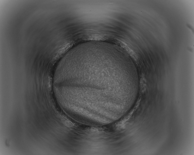 X0000091330305200708241207