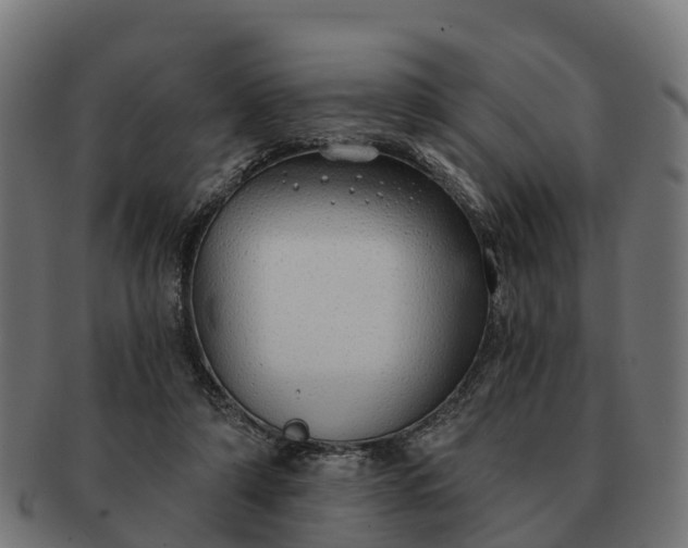 X0000091330306200708241207