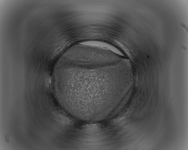 X0000091330307200708241207