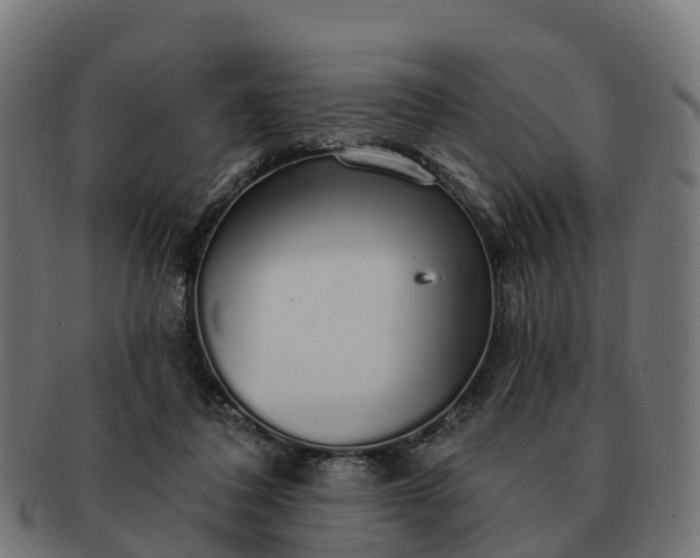 X0000091330308200708241207