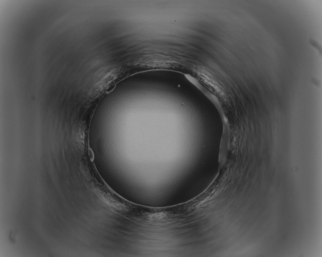 X0000091330309200708241207