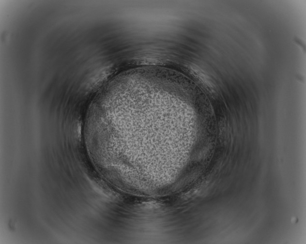 X0000091330310200708241207