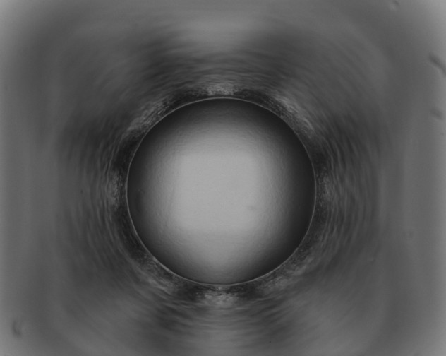 X0000091330311200708241207