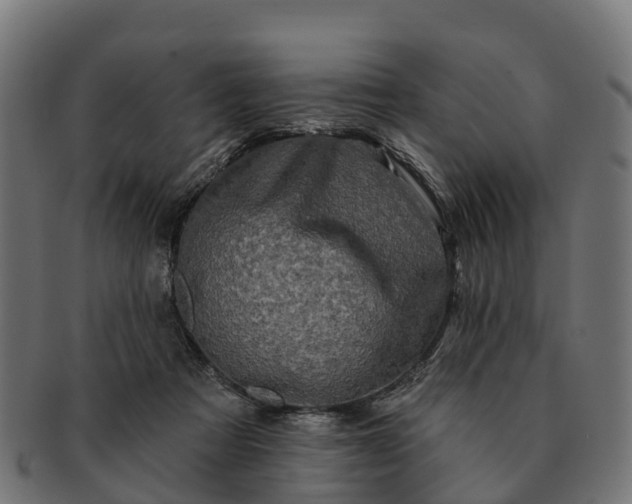 X0000091330313200708241207