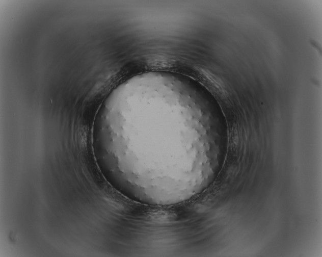 X0000091330315200708241207