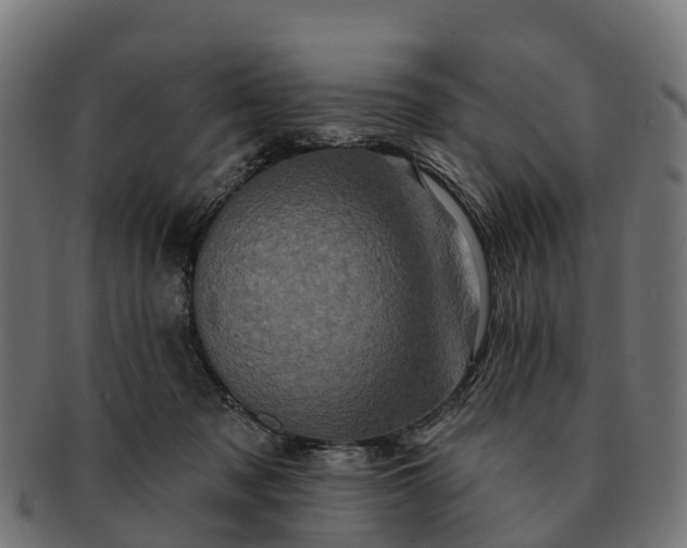 X0000091330317200708241206